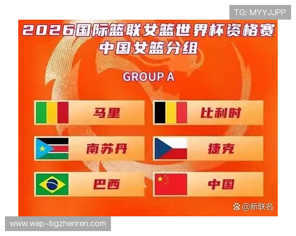 2026年世界杯捷克队出线所需积分详细分析:晋级的关键因素有哪些